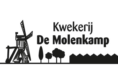 Molenkamp